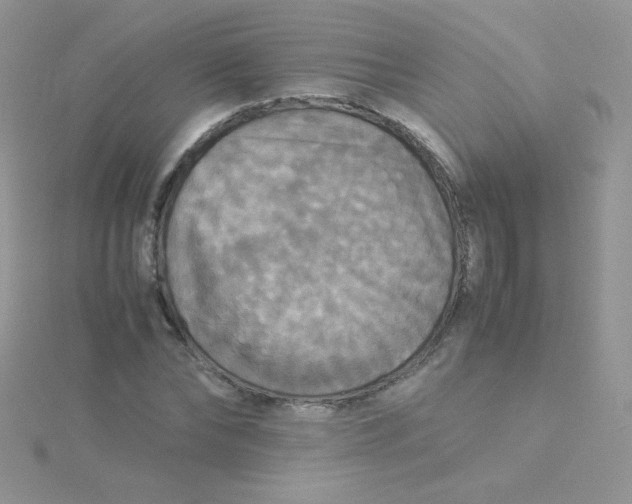 X0000115310878200911231327