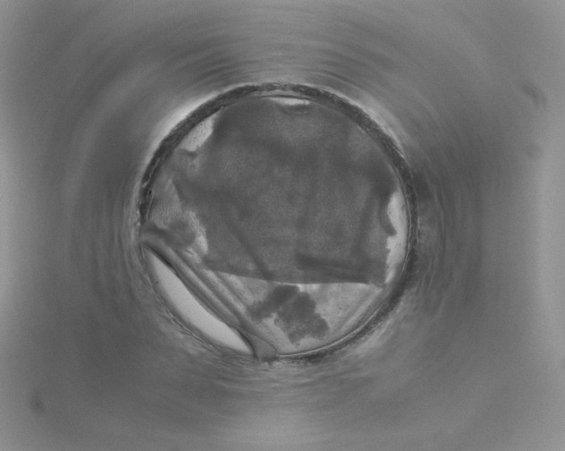 X0000115310879200911231327