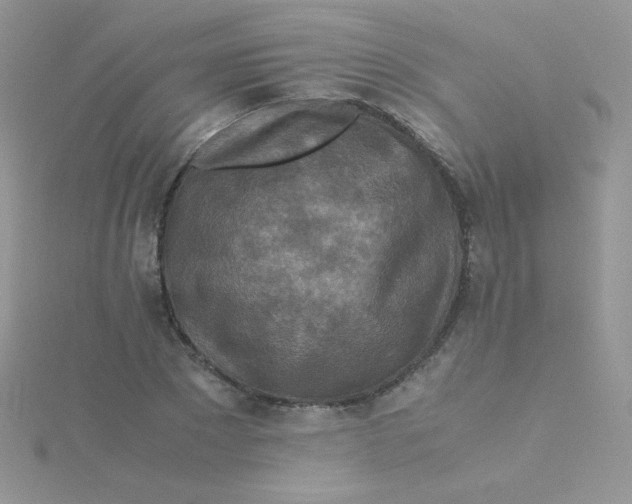 X0000115310881200911231327