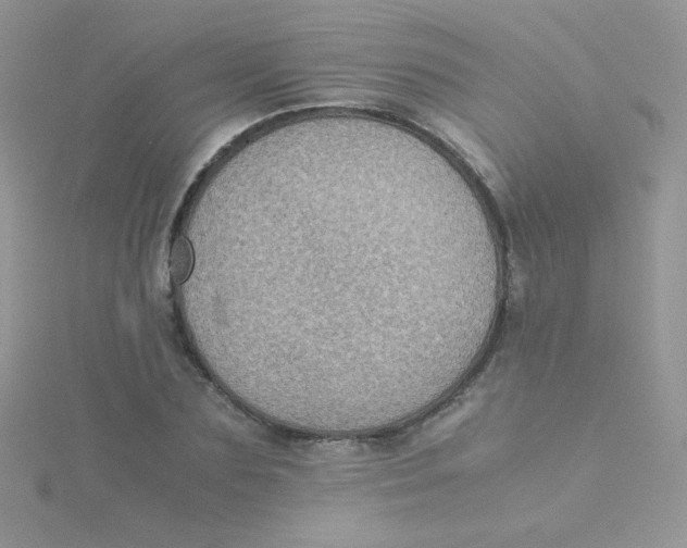 X0000115310883200911231327