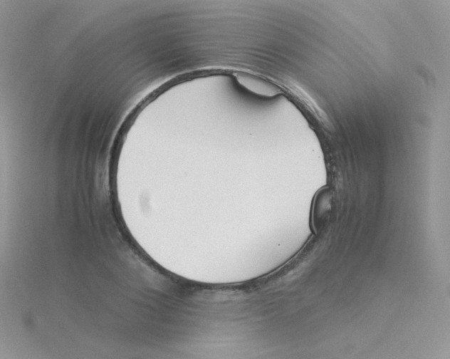 X0000115310884200911231327