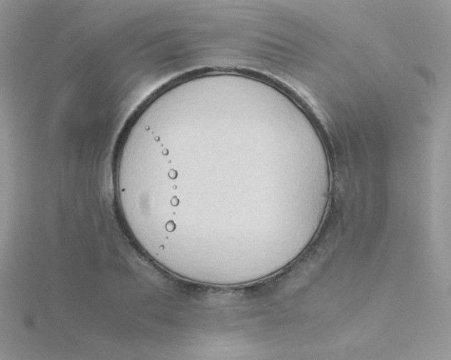 X0000115310887200911231327