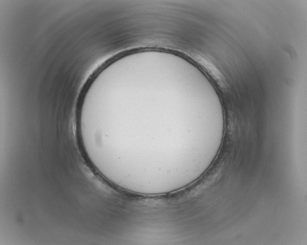 X0000115310888200911231327