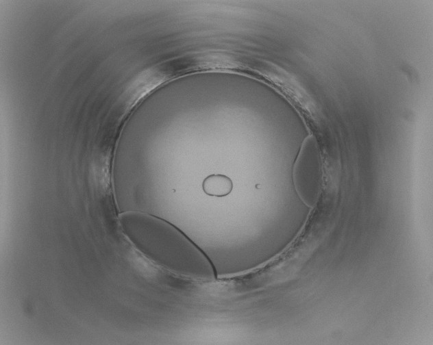 X0000115310889200911231327