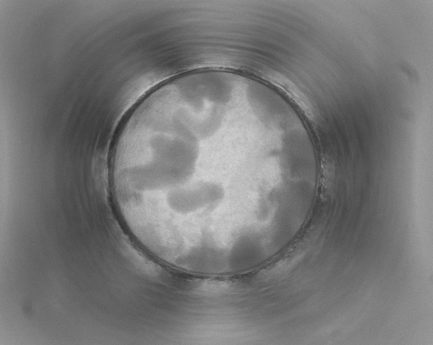 X0000115310890200911231327