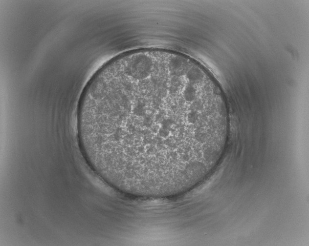 X0000115310891200911231327