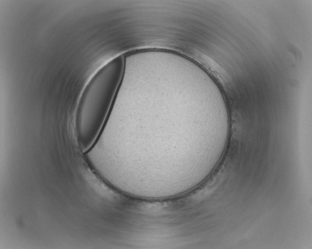 X0000115310892200911231327