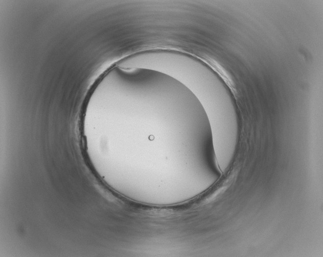 X0000115310893200911231327