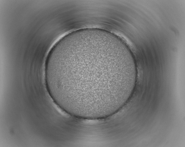 X0000115310894200911231327