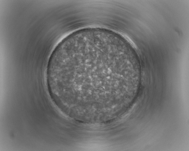 X0000115310895200911231327