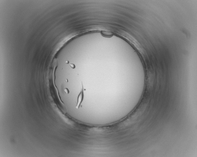 X0000115310898200911231327