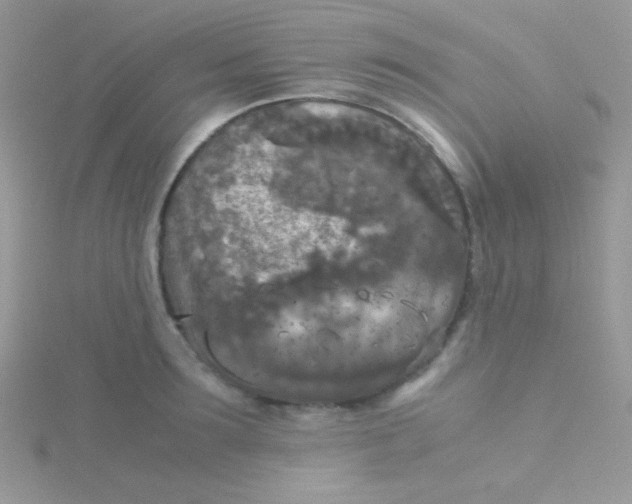 X0000115310899200911231327