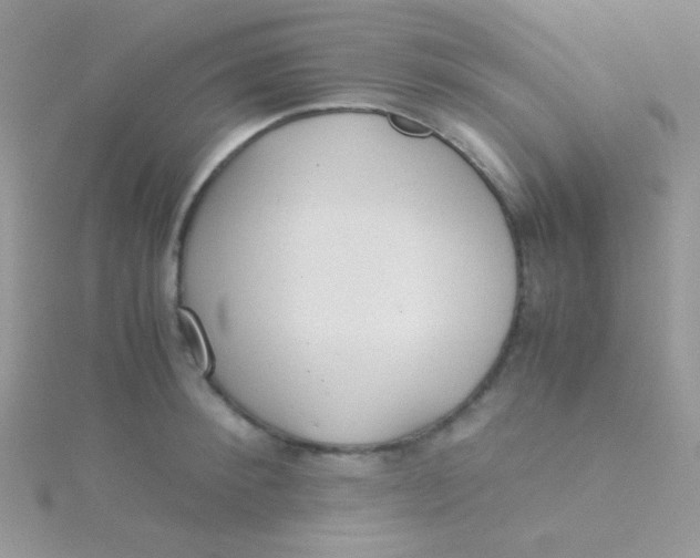 X0000115310900200911231327