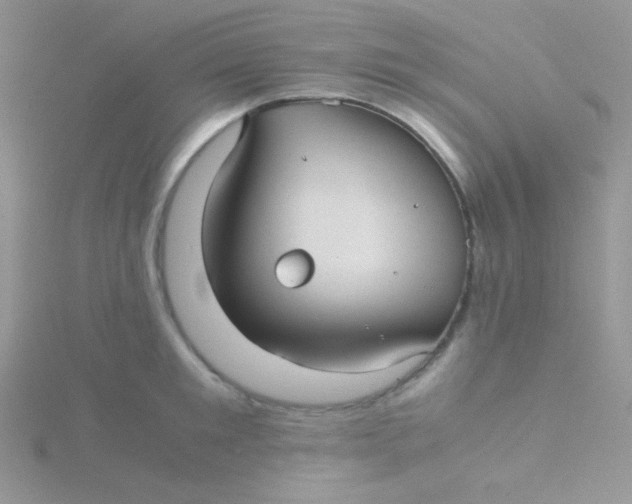 X0000115310901200911231327