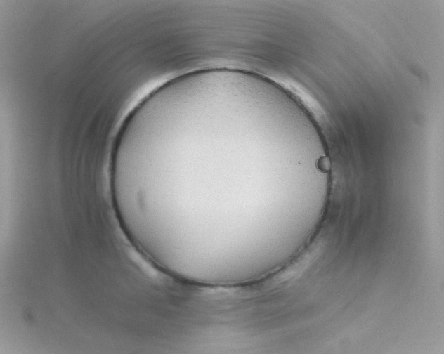 X0000115310902200911231327