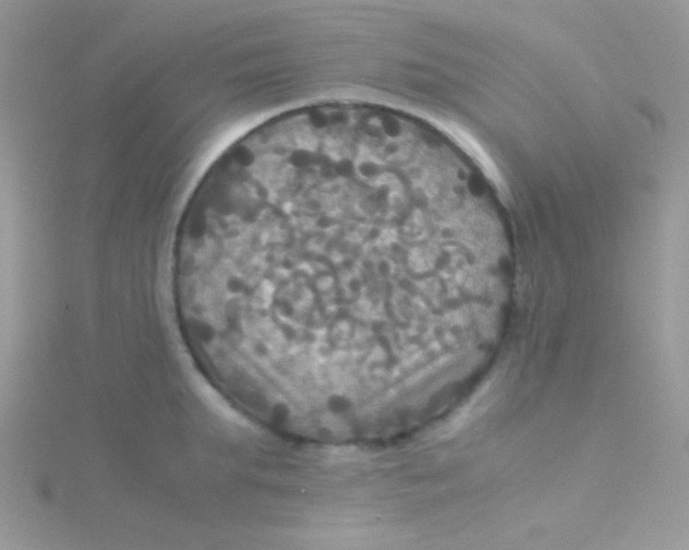 X0000115310903200911231327