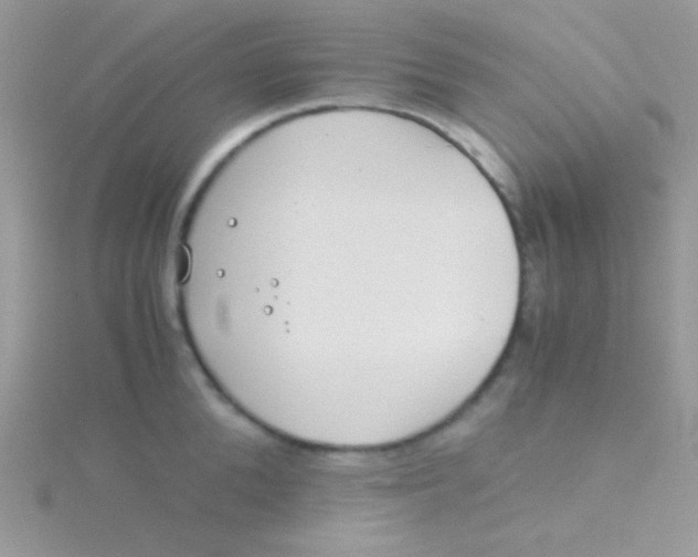 X0000115310904200911231327