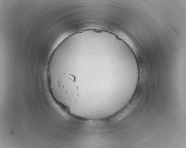 X0000115310906200911231327