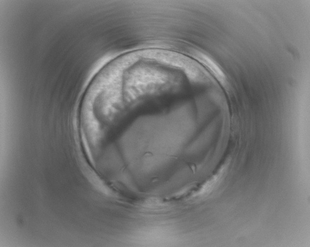 X0000115310907200911231327