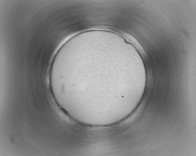 X0000115310908200911231327