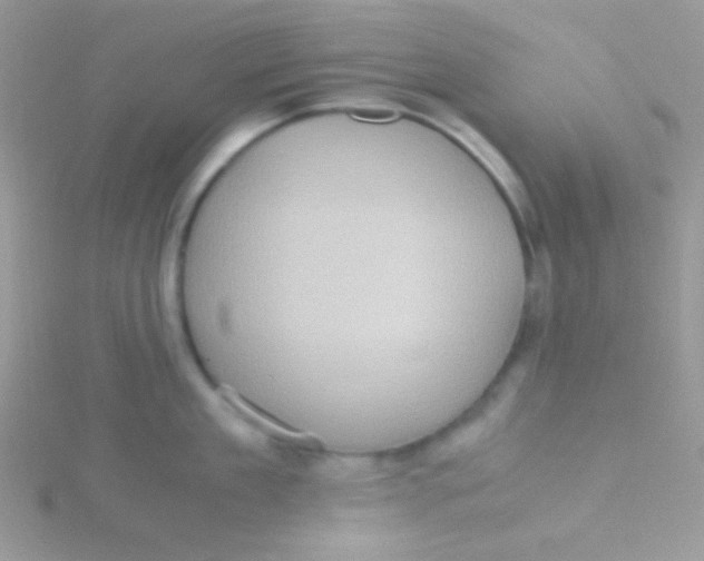 X0000115310909200911231327