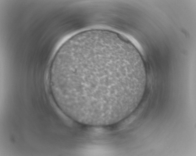 X0000115310911200911231327