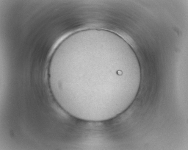 X0000115310912200911231327