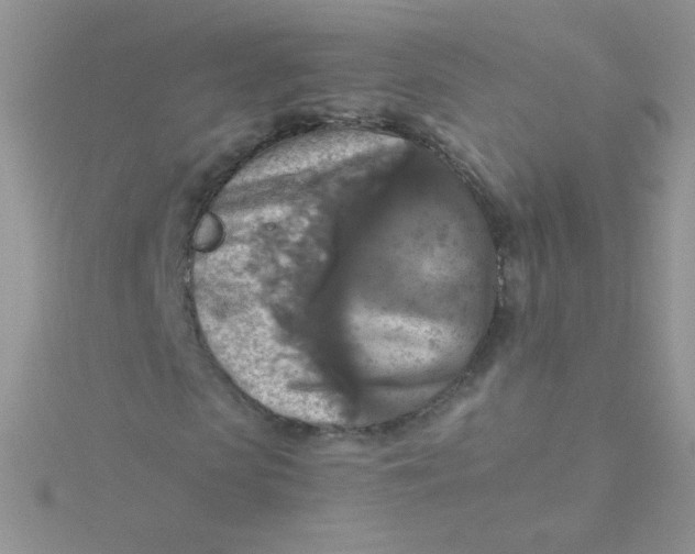 X0000115310913200911231326