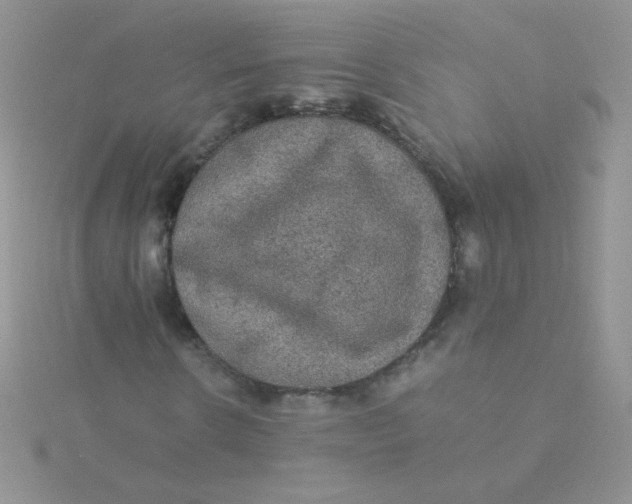 X0000115310914200911231326