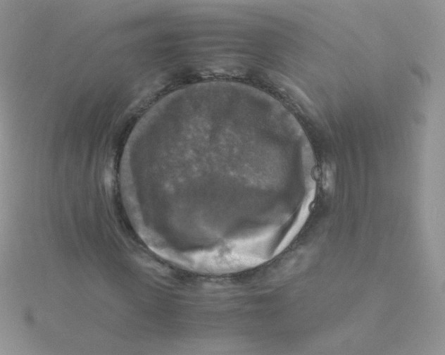 X0000115310915200911231326