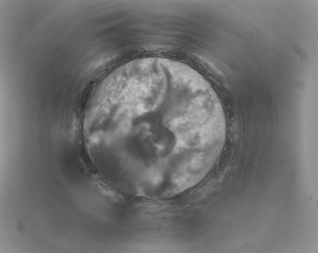 X0000115310917200911231326