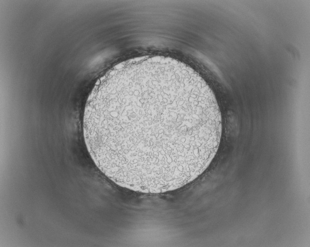 X0000115310918200911231326