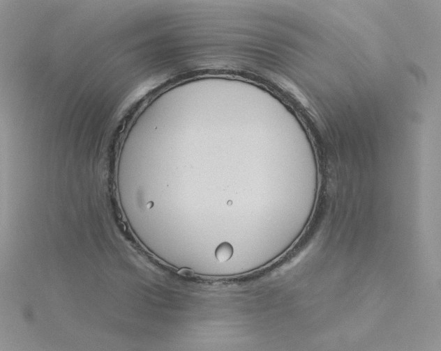 X0000115310922200911231326