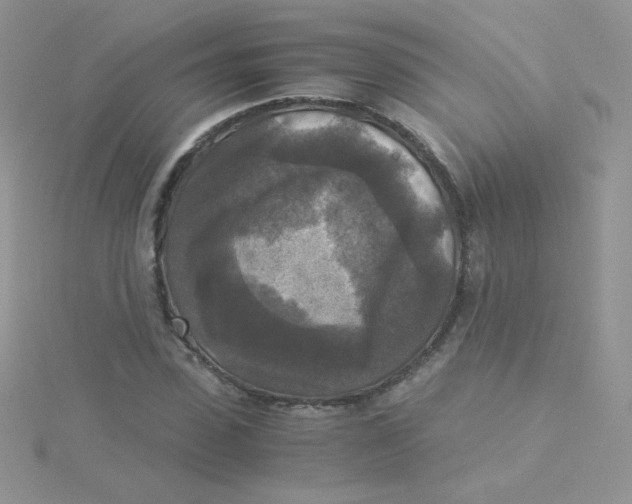 X0000115310923200911231326