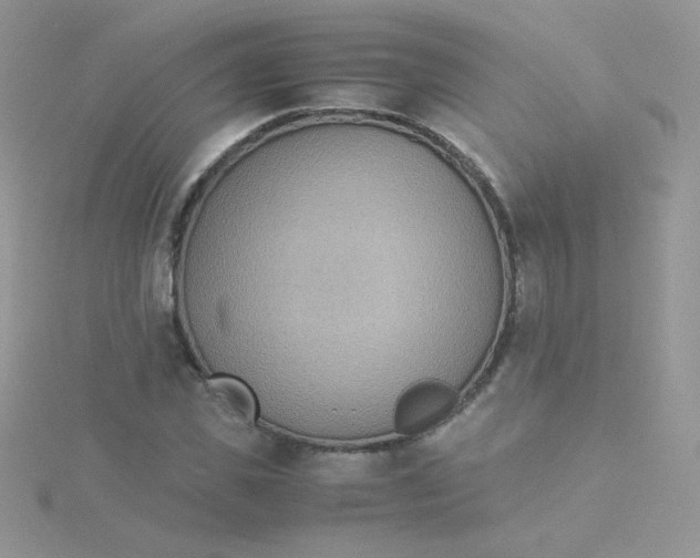 X0000115310925200911231326