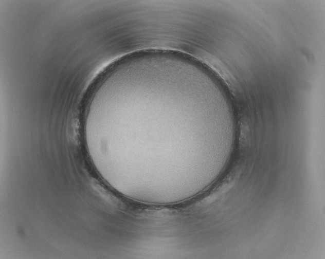 X0000115310926200911231326