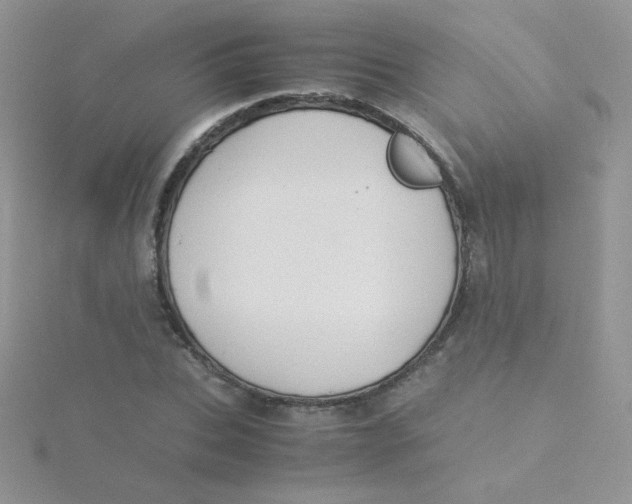 X0000115310927200911231326