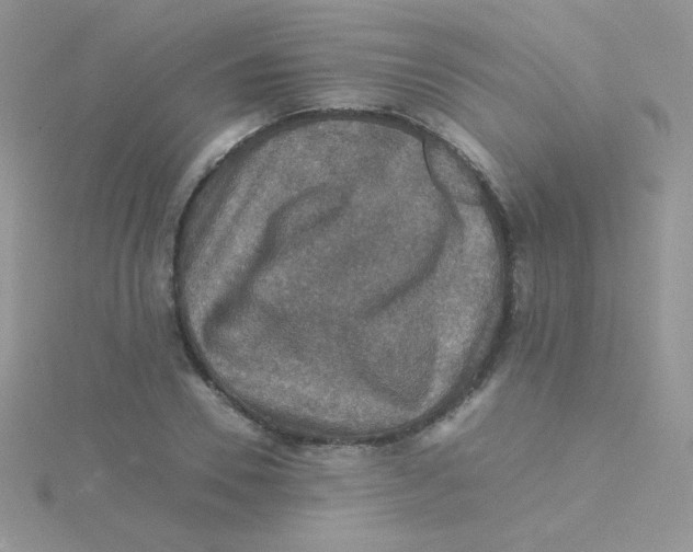 X0000115310930200911231326