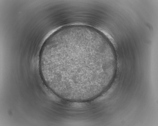 X0000115310933200911231326