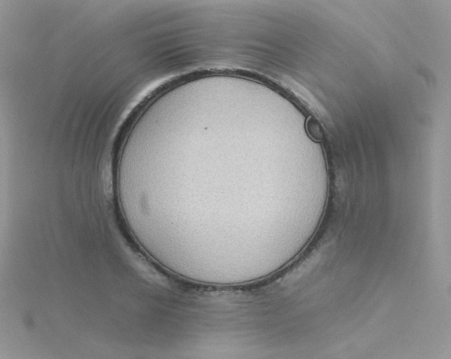 X0000115310934200911231326