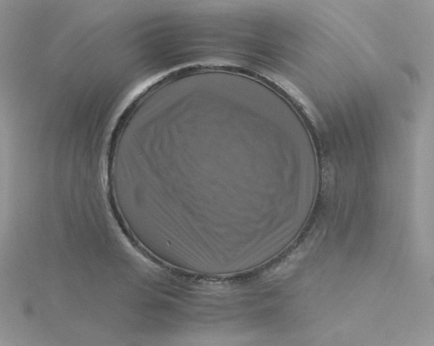 X0000115310935200911231326