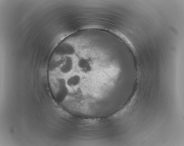 X0000115310937200911231326