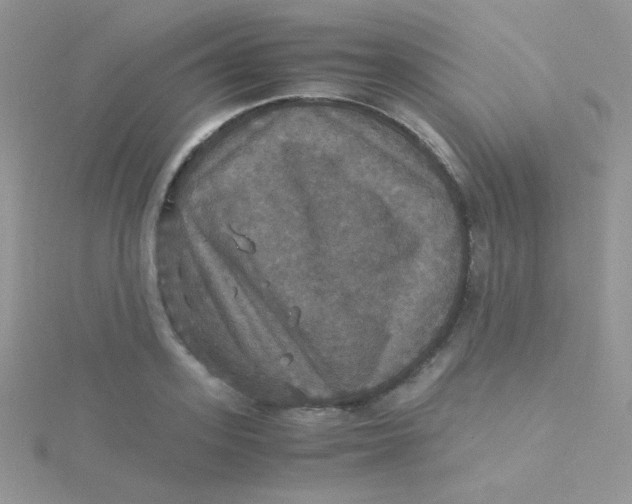 X0000115310939200911231326