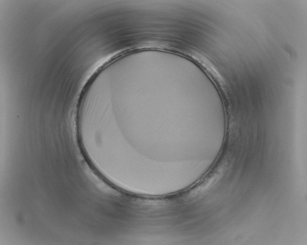 X0000115310941200911231326