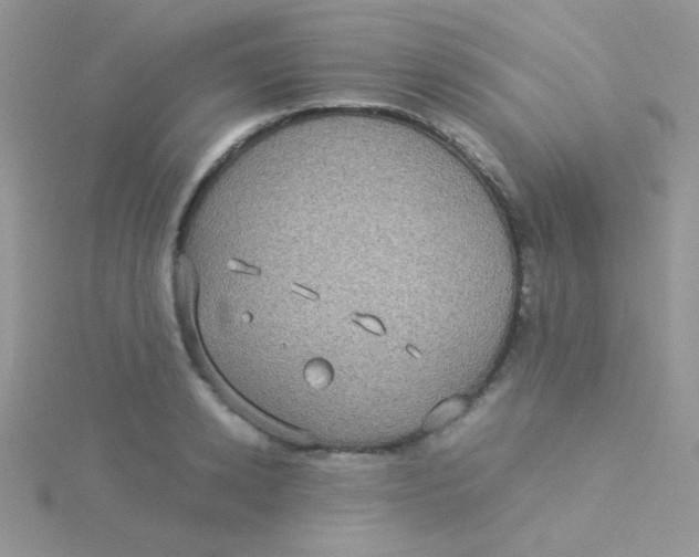 X0000115310942200911231326