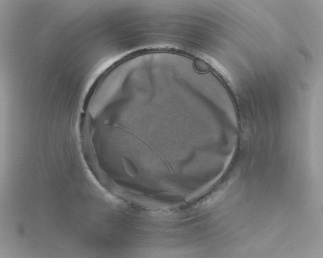 X0000115310943200911231326