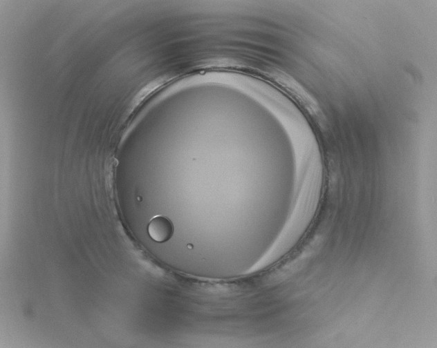 X0000115310945200911231326