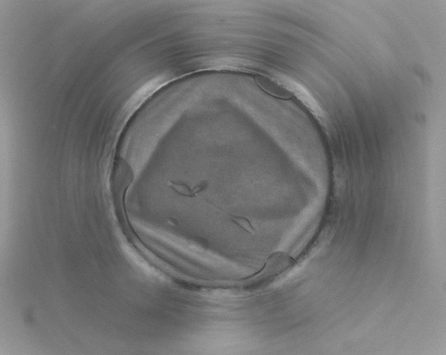 X0000115310946200911231326