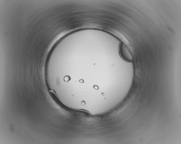 X0000115310947200911231326