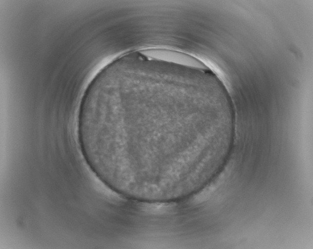 X0000115310949200911231326